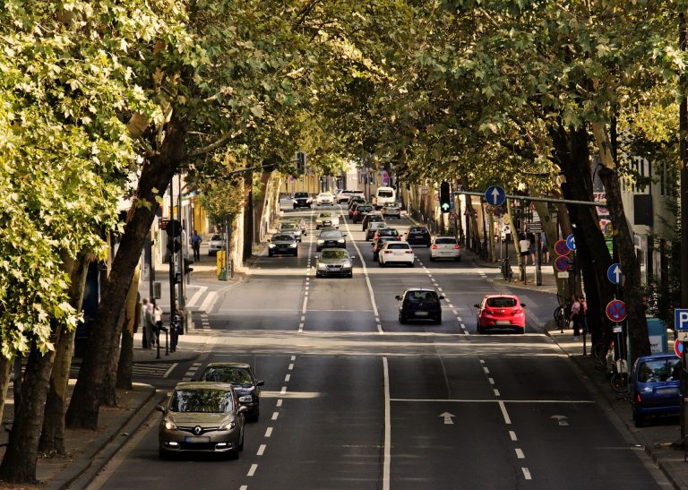 Straße mit Autos und Baume